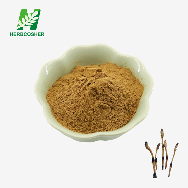 Pure Horsetail Extract